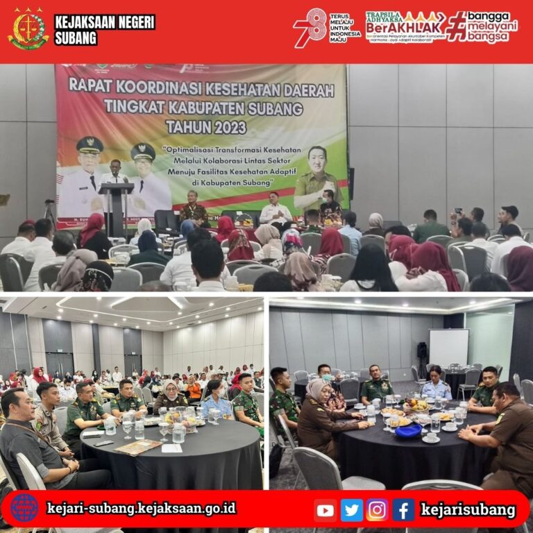 WhatsApp Image 2023-08-09 at 16.24.18