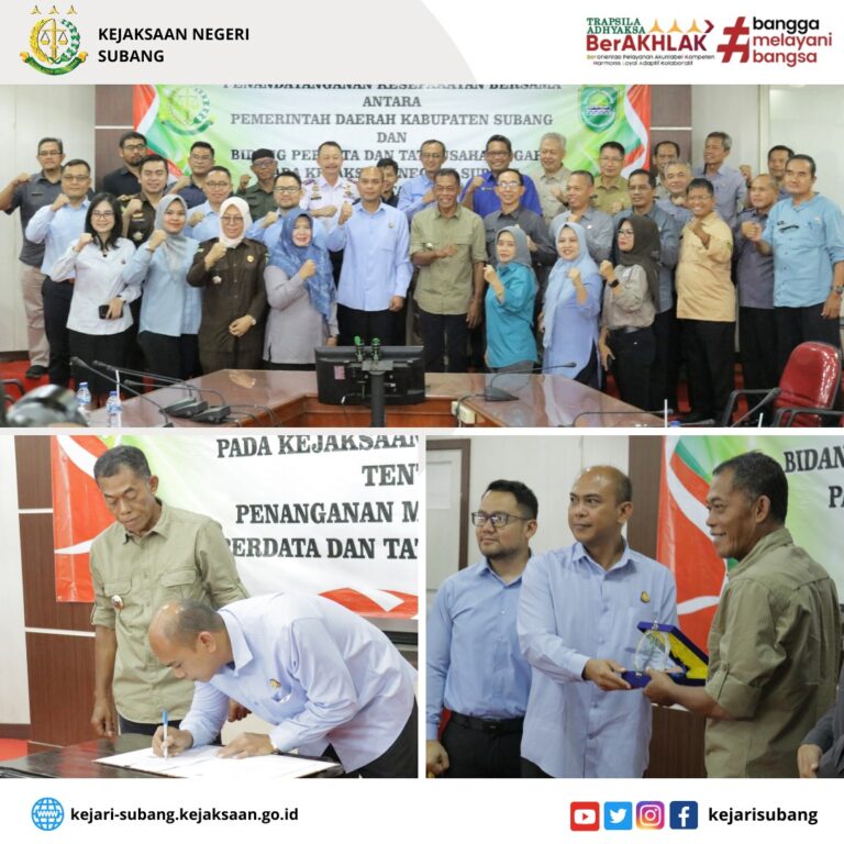 WhatsApp Image 2023-09-12 at 11.56.03