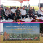 Screenshot 2023-11-15 143827