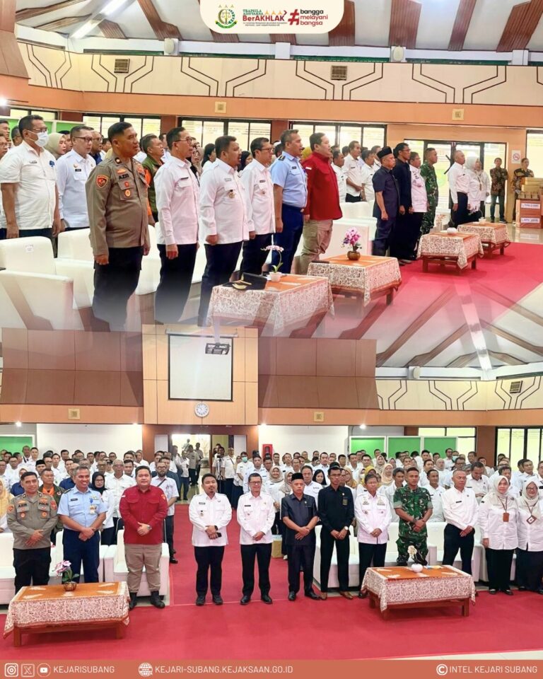 WhatsApp Image 2025-03-19 at 11.13.37_9a4ef8ee