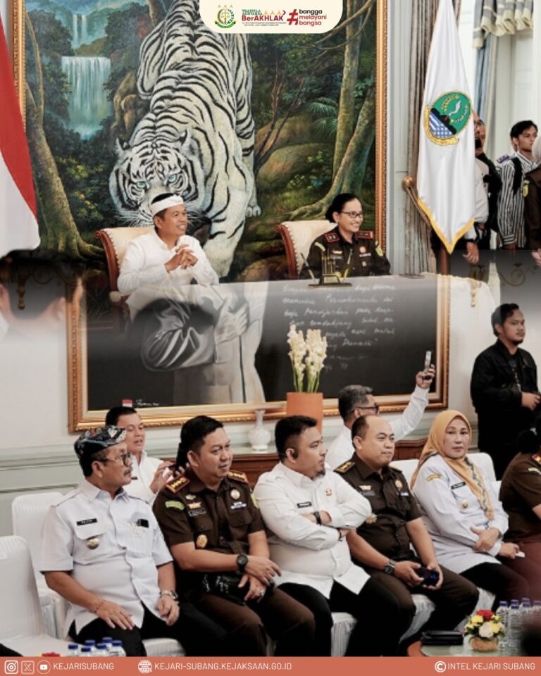 WhatsApp Image 2025-04-16 at 11.52.52_7e6220f6